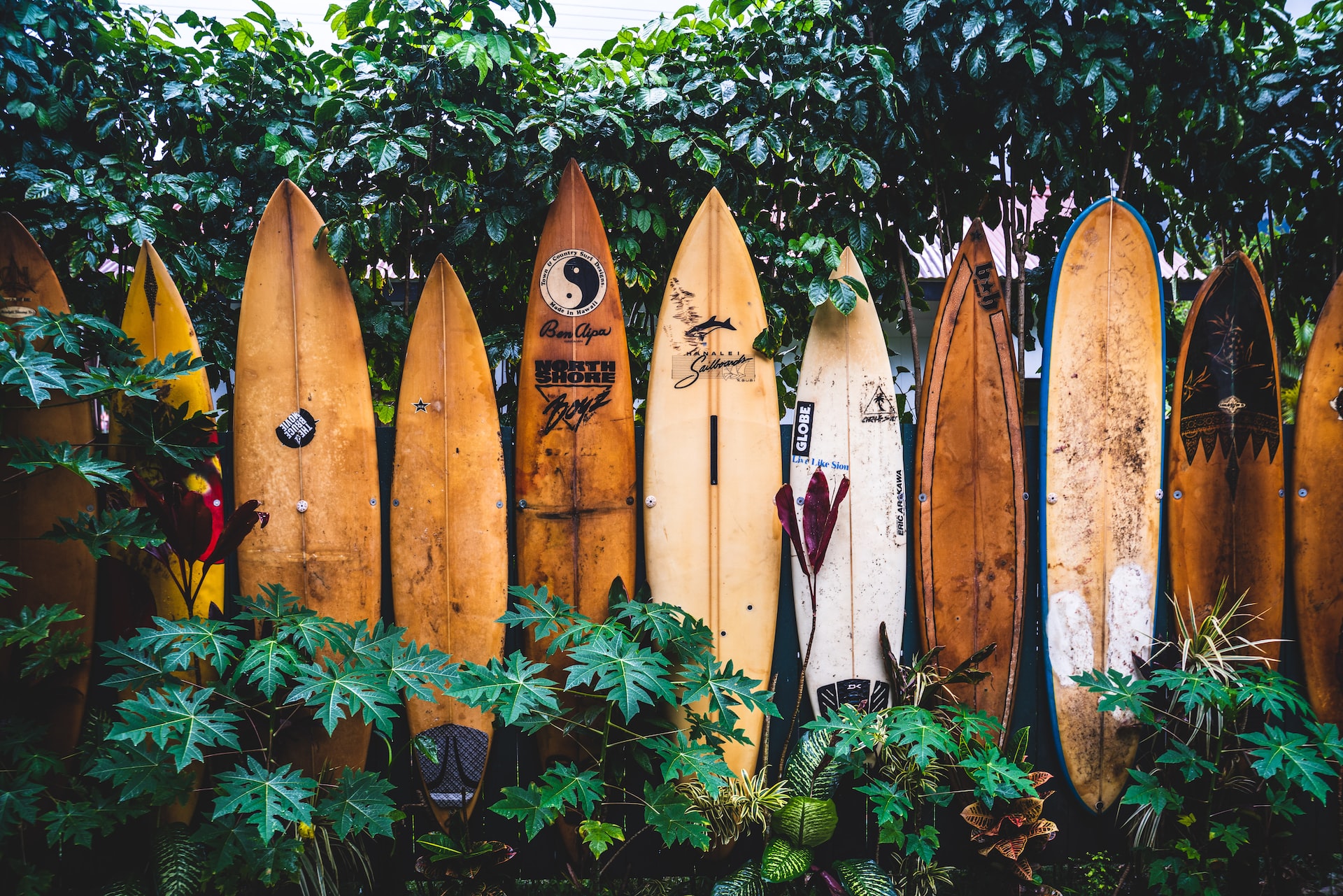 The essential surfing equipment. What do you need?