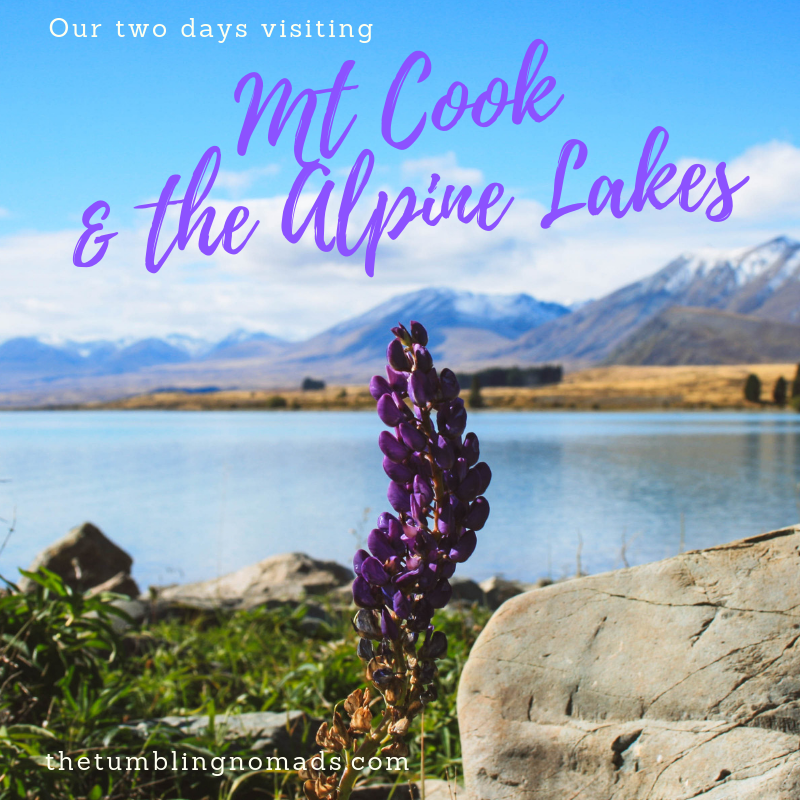 Mt Cook and the Alpine Waters of Lake Tekapo: A Perfect New Zealand Day