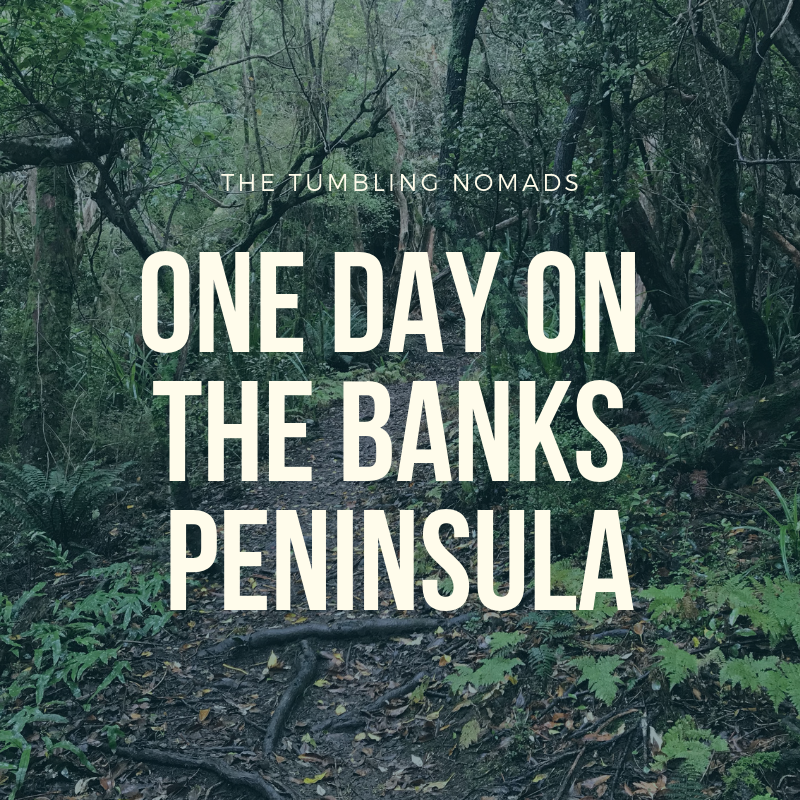 A Stunning Day Trip to The Banks Peninsula