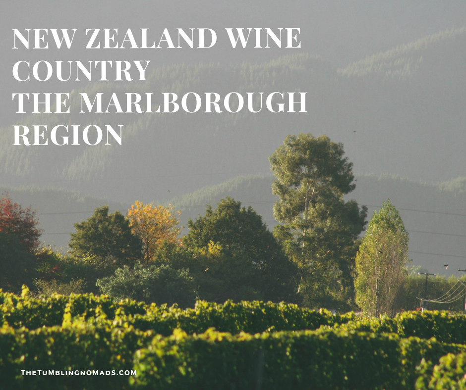 The Marlborough Region - A Bicycle Tour Of Wineries - The Tumbling Nomads