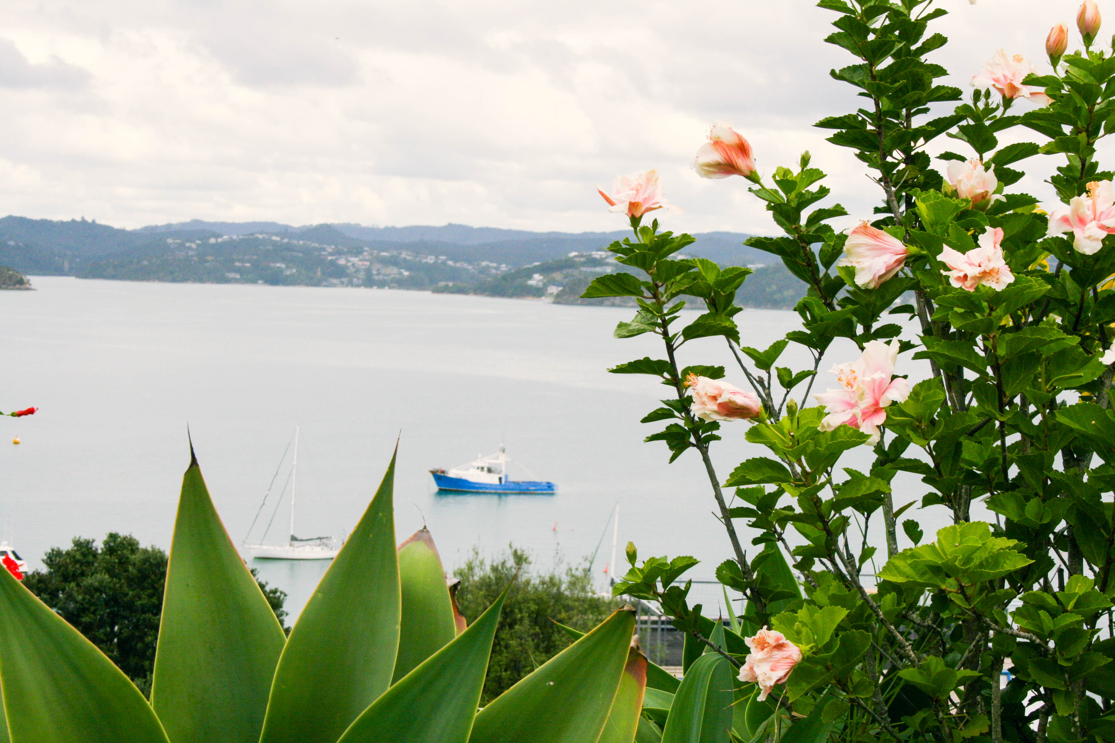 A Weekend Guide to the Seaside Town of Russell, New Zealand