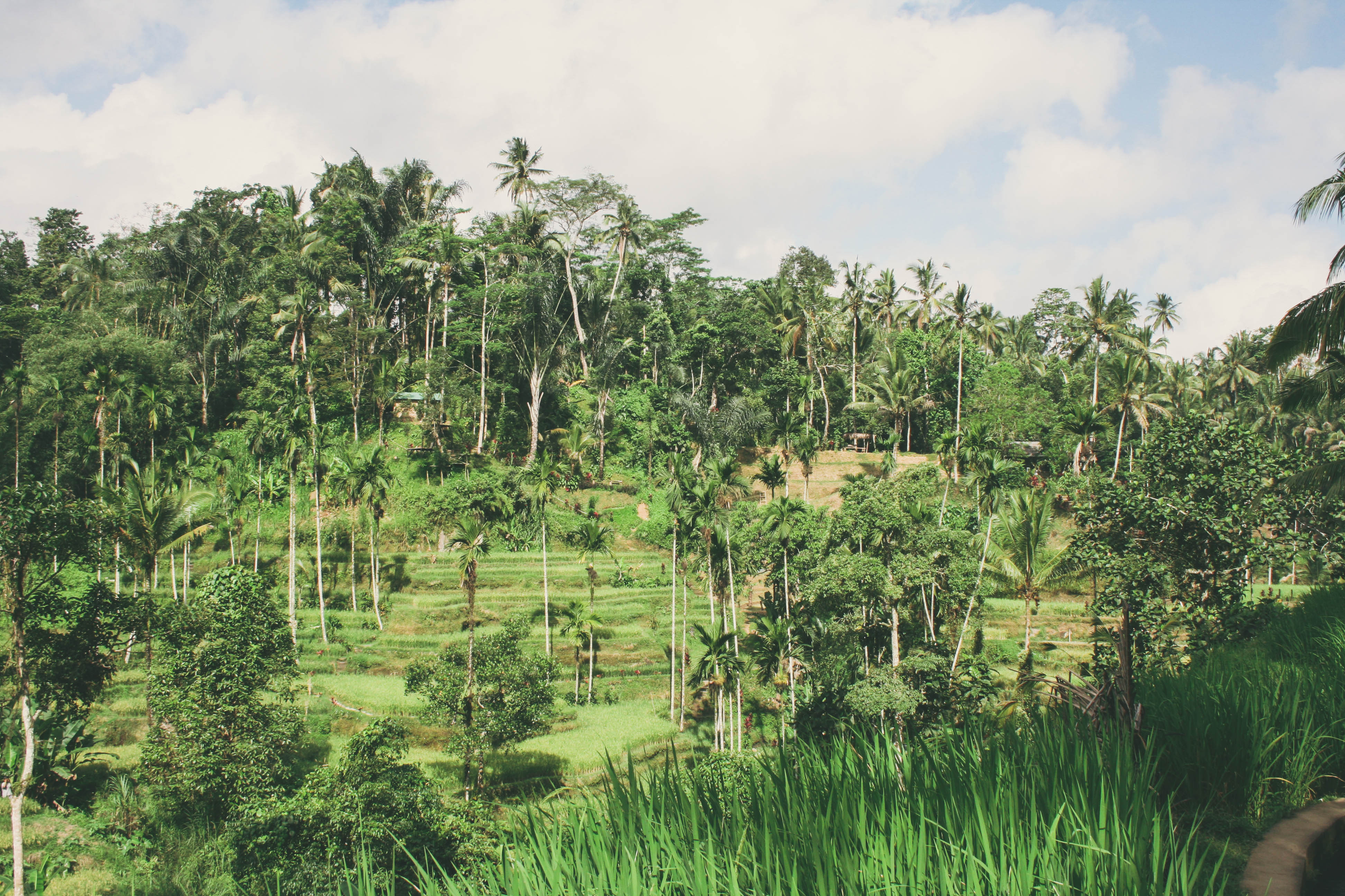 Things to Know Before Traveling to Bali