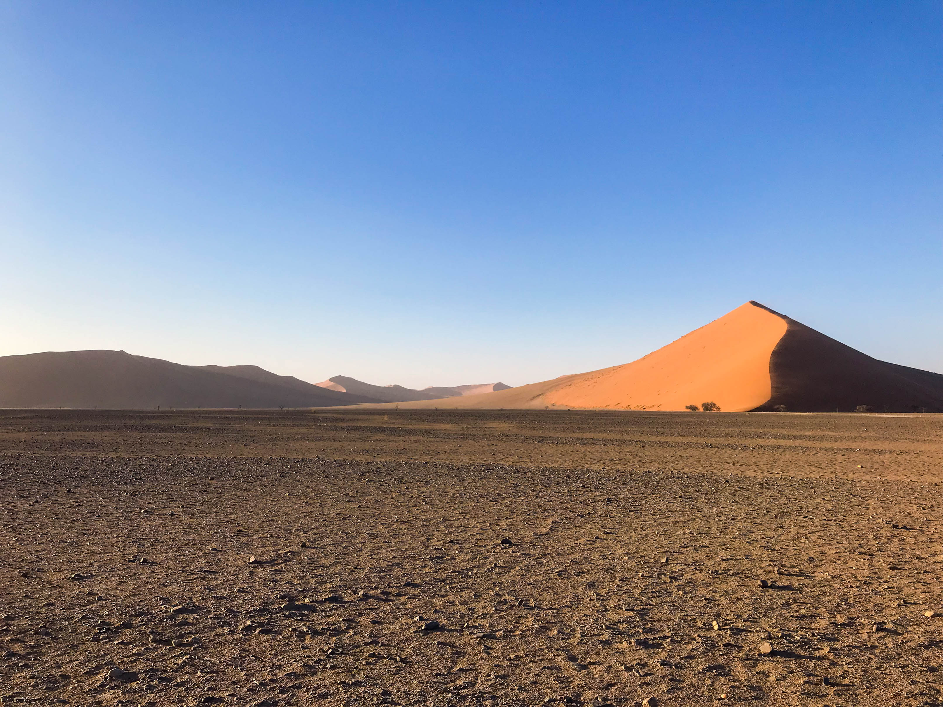 Discovering the Wonders of the Namib Desert