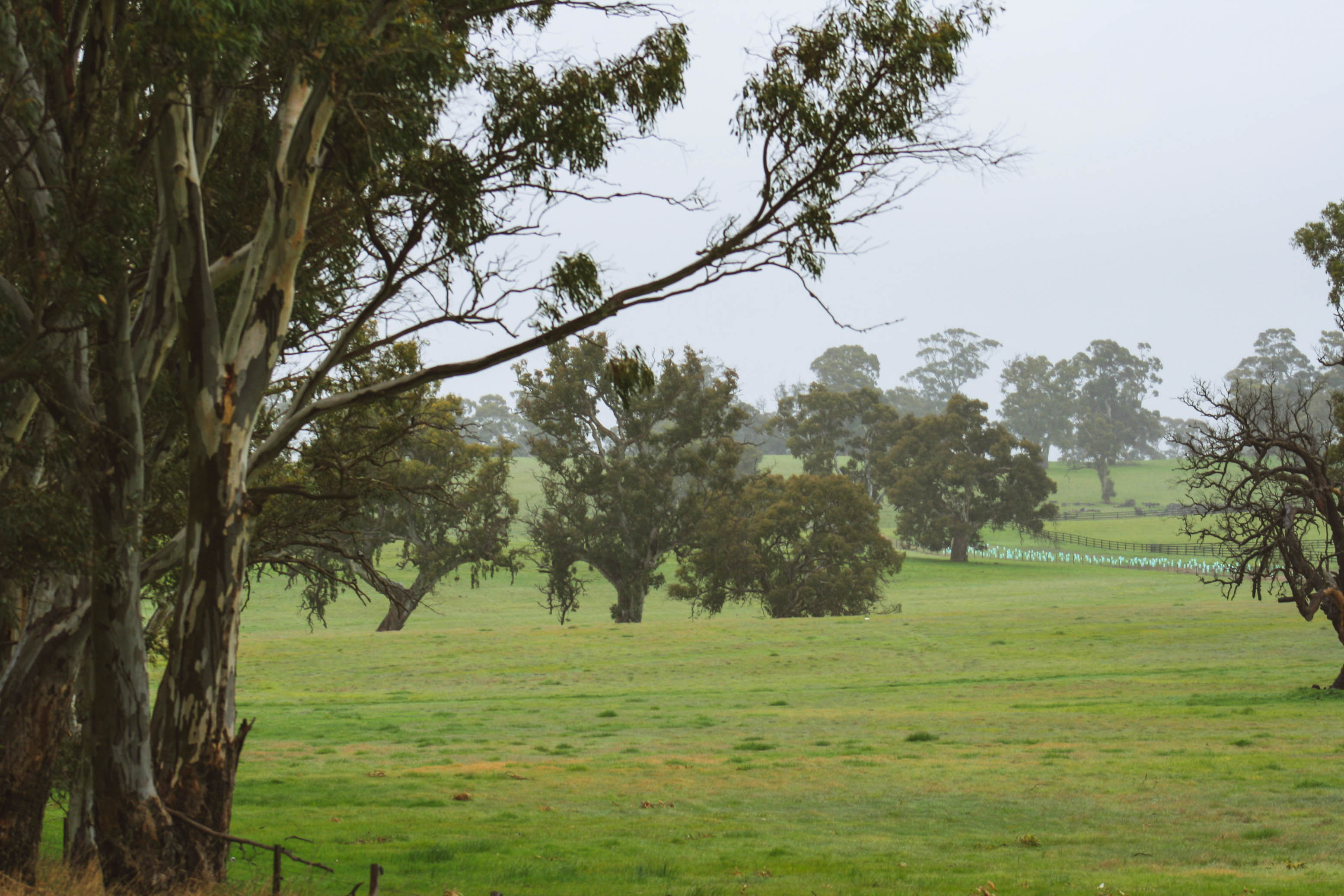 Off the Beaten Path in the Outback and South Australia