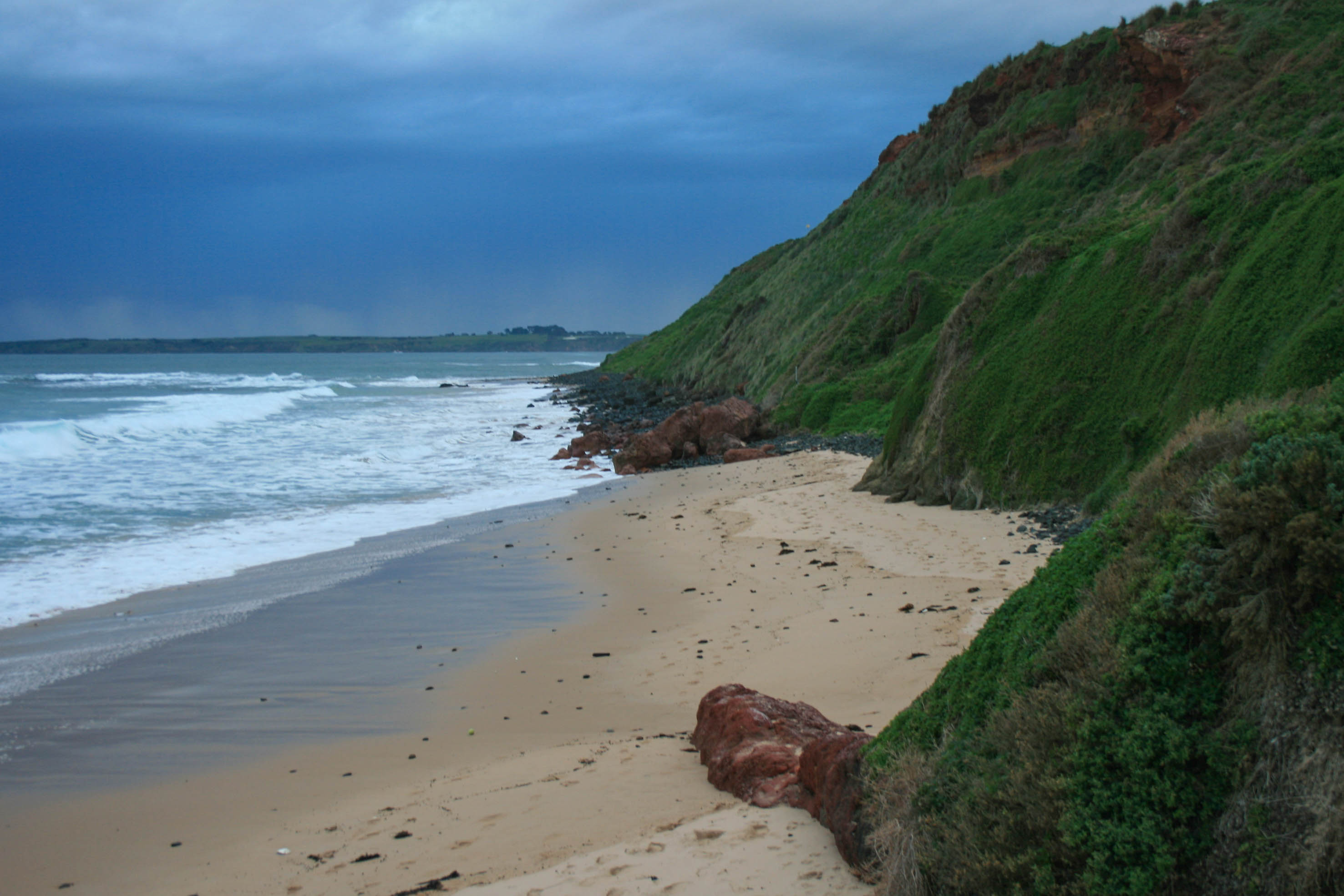 Phillip Island: Watch the Penguin Parade and Other Highlights