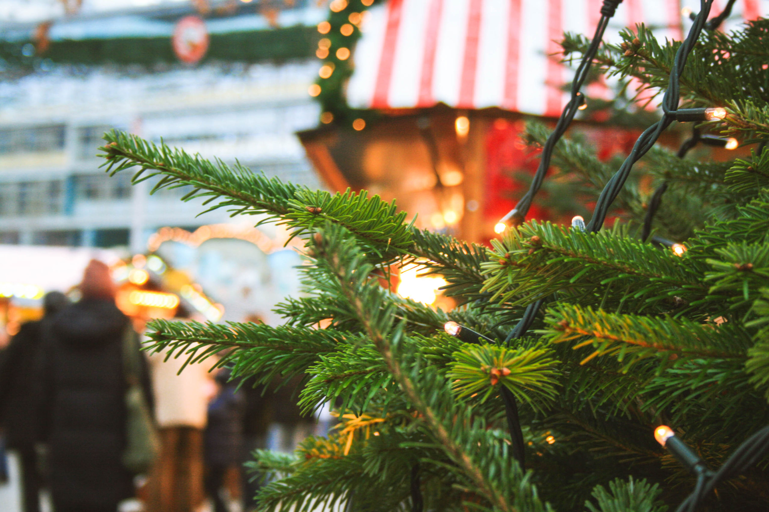 Berlin Christmas Markets