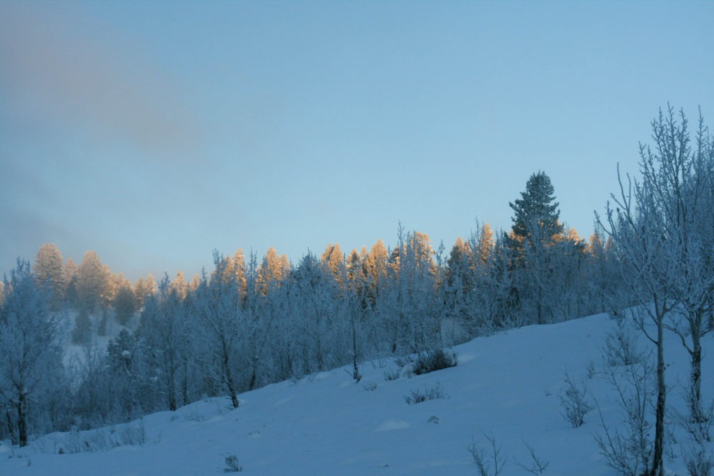 Grand Teton National Park In The Winter - The Tumbling Nomads