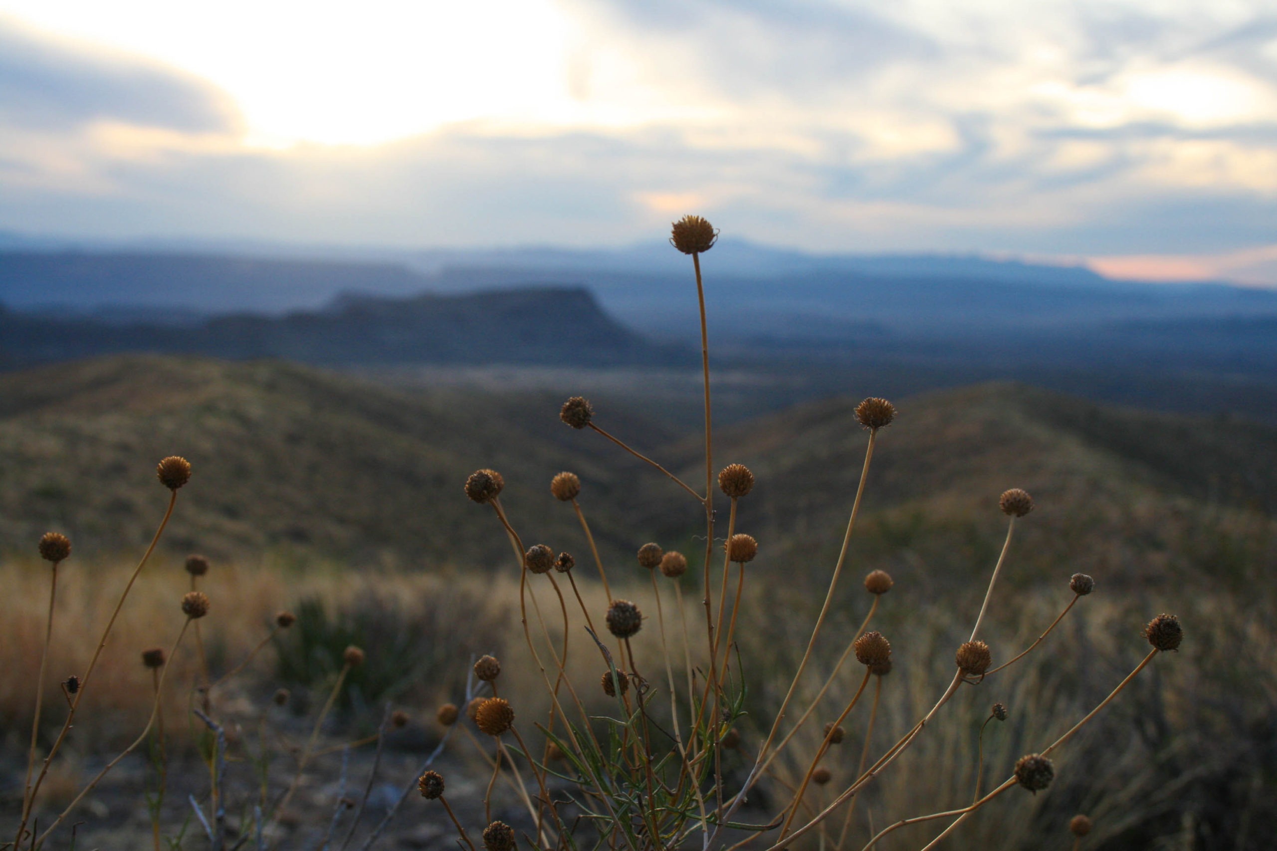 A Guide for Visiting Big Bend National Park in Three Days