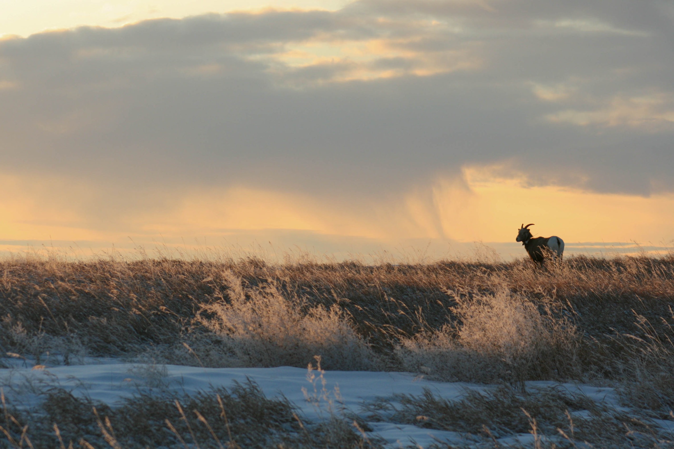 6 Unique Stops on a Road Trip Through South Dakota