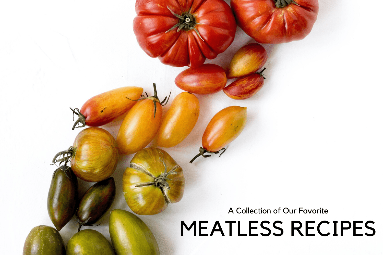 Favorite Meatless Recipes