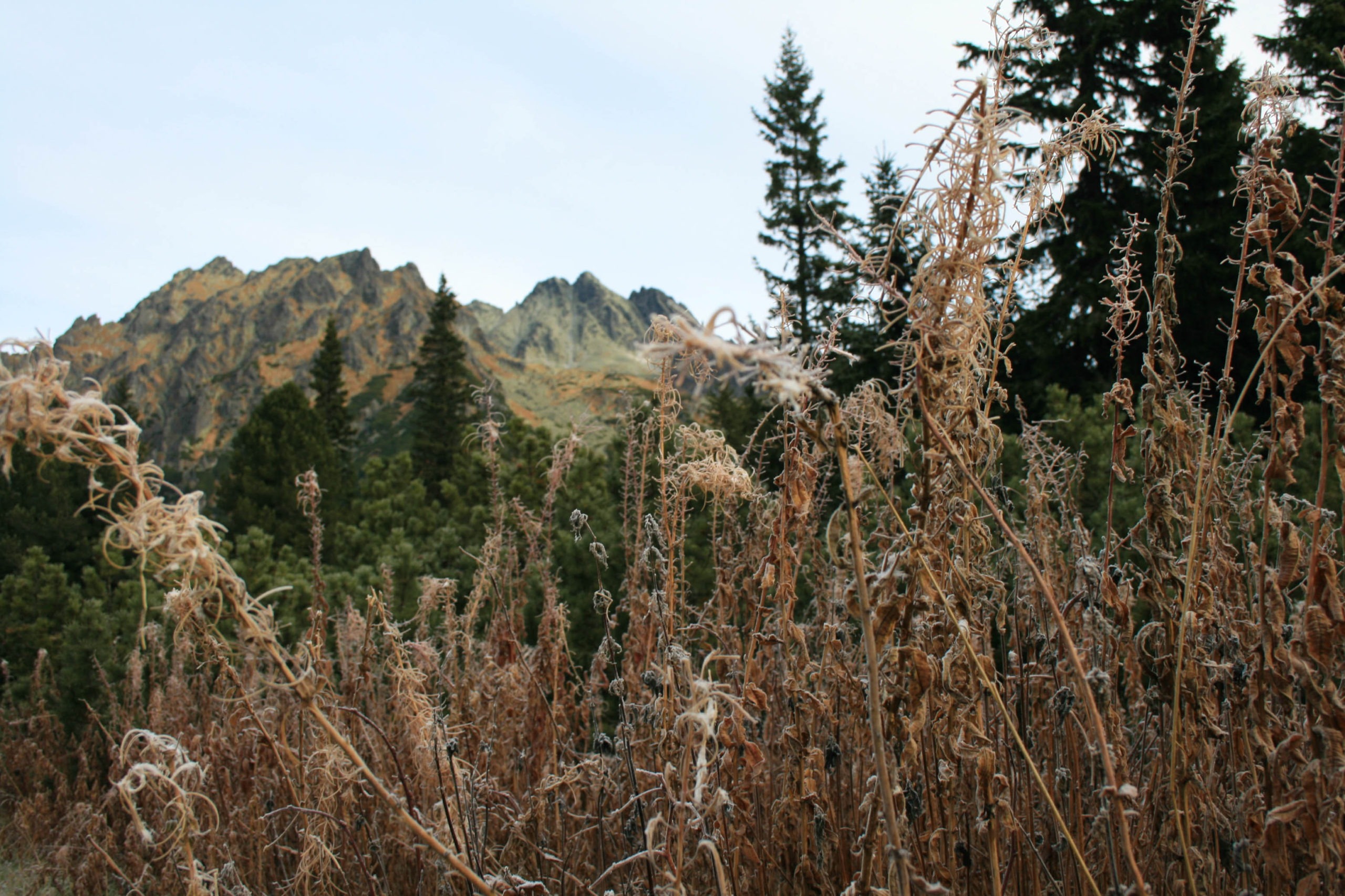 The High Tatras: An Underrated Hiking Gem