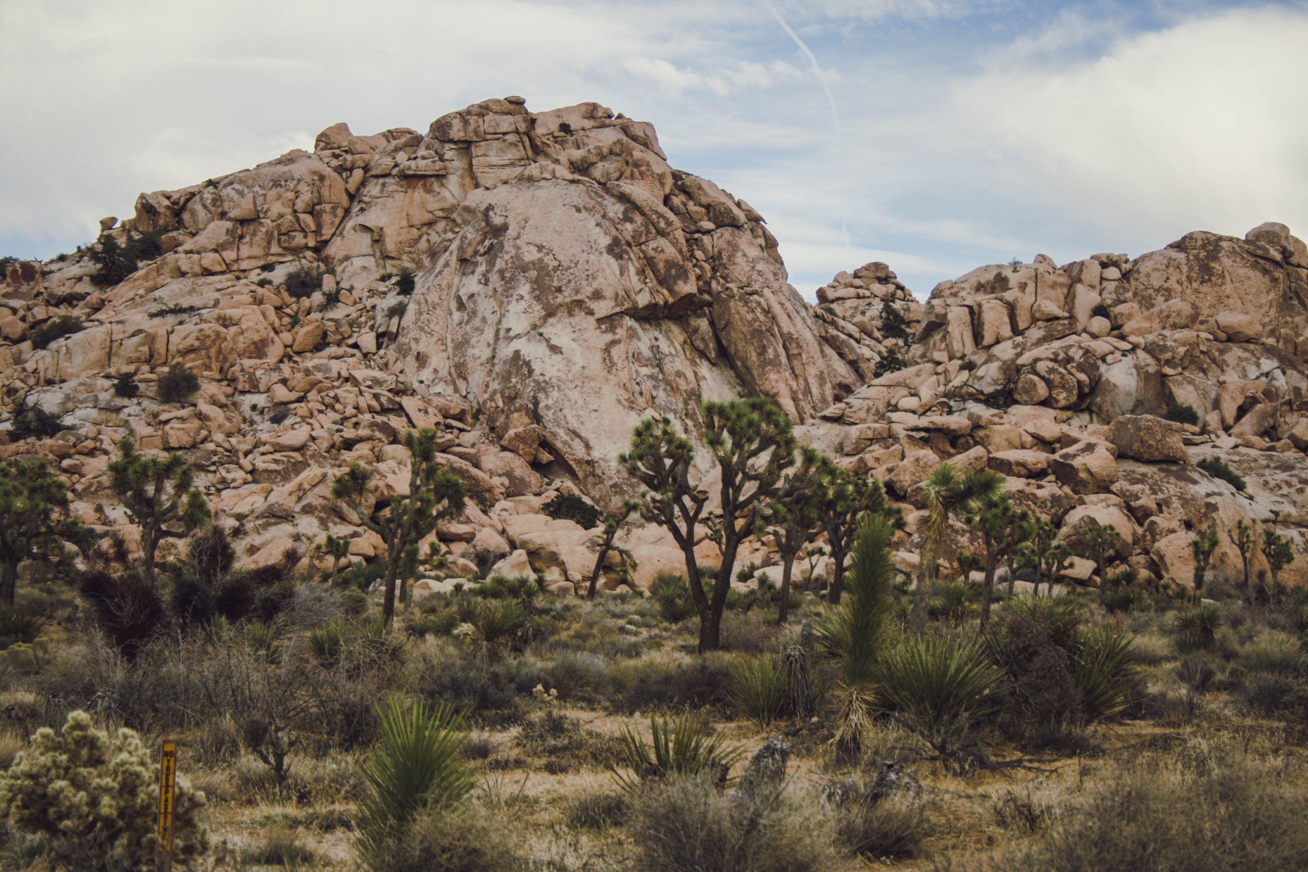 Joshua Tree – How to Enjoy this Stunning Desert Escape