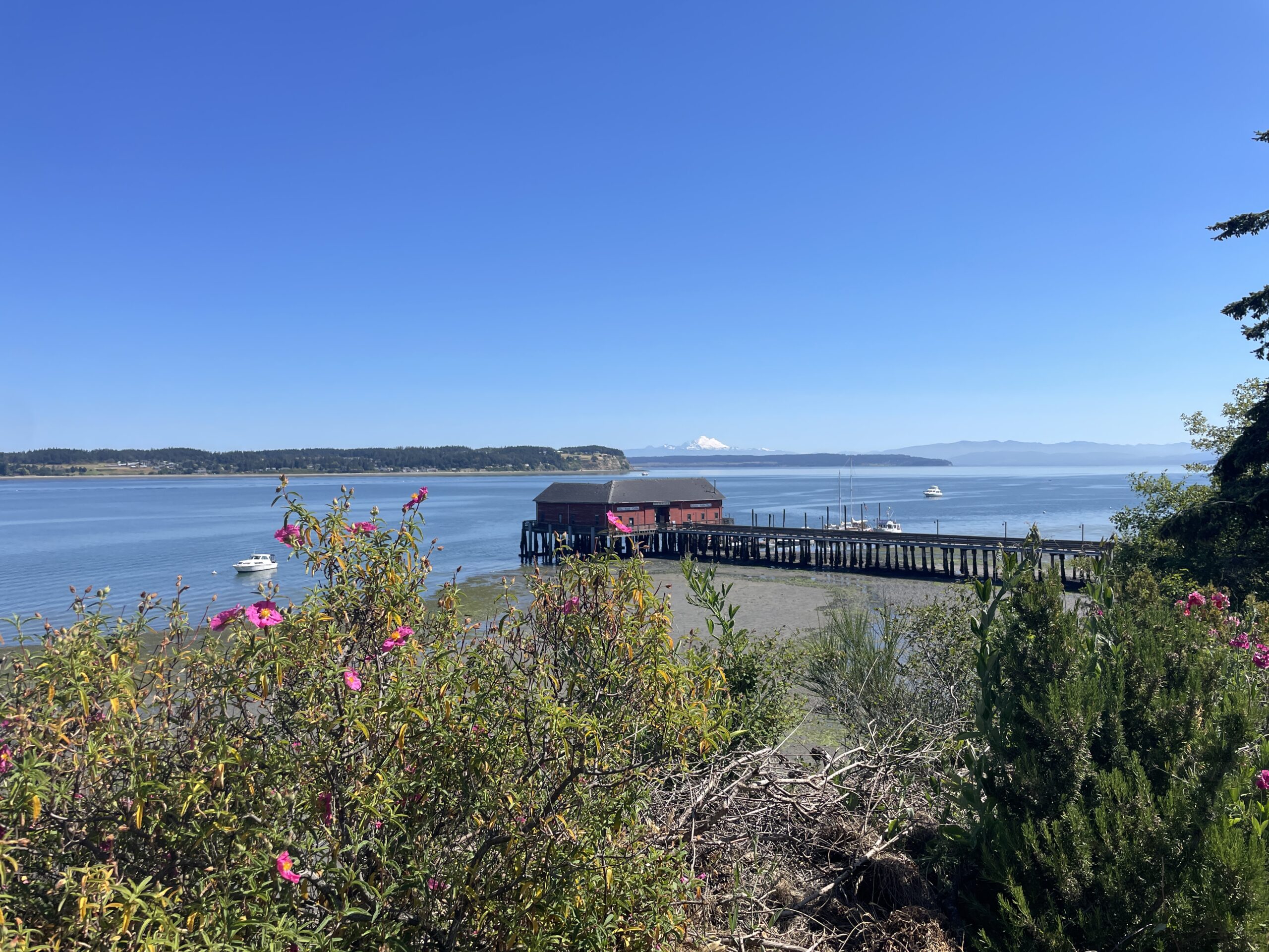 Escape to The Rock: 14 Top Spots on Whidbey Island