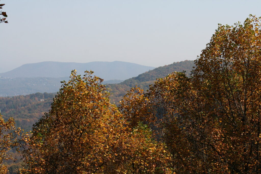 views from the Blue Ridge Parkway during fall in North Carolina