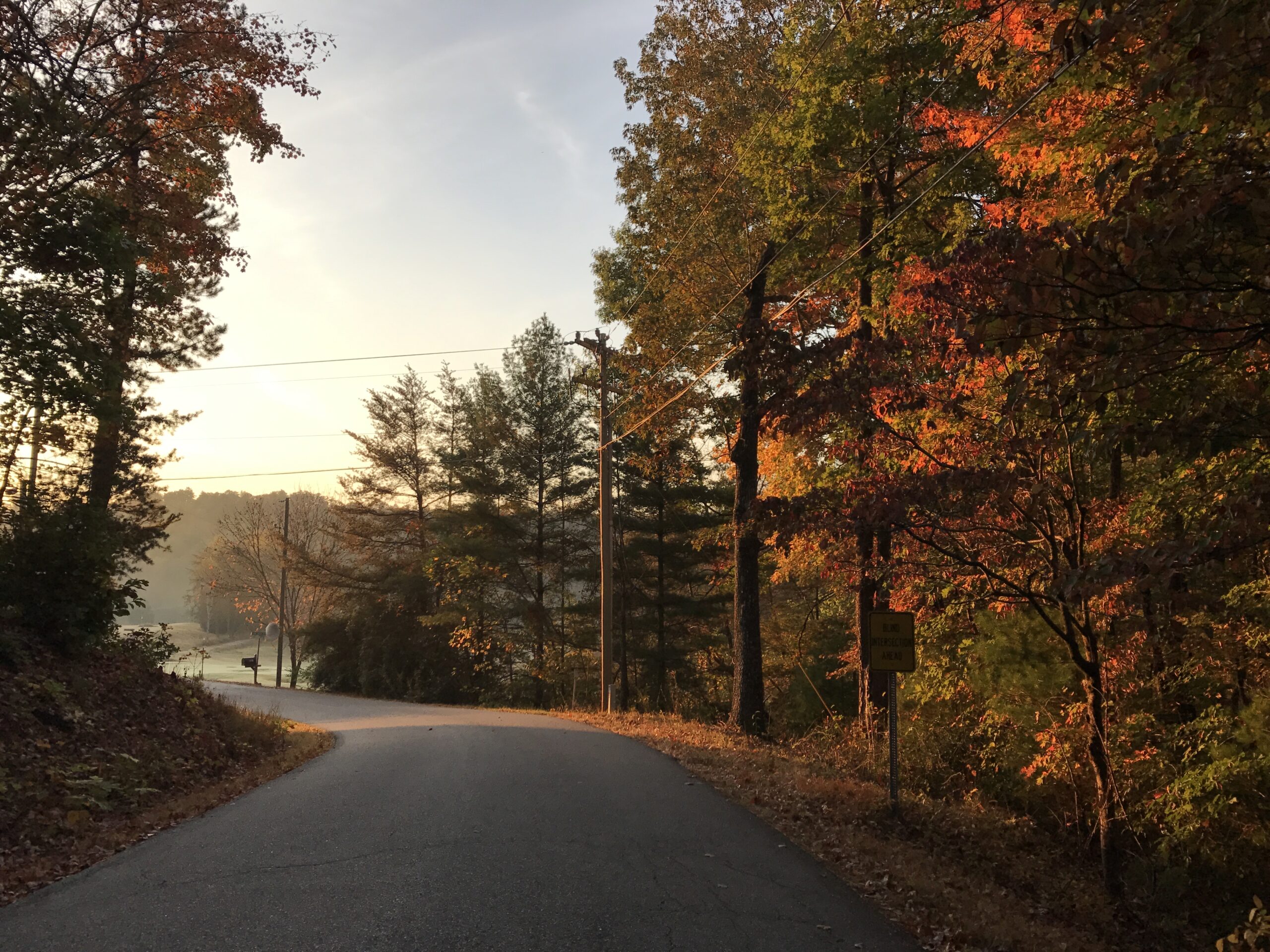 Stunning Road Trip to Experience Fall in North Carolina